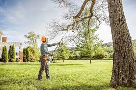 How Our Tree Care Process Works  in  Shelburn, IN